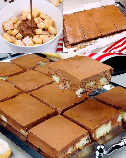 Biscuit squares: the gourmet treat that will delight everyone!