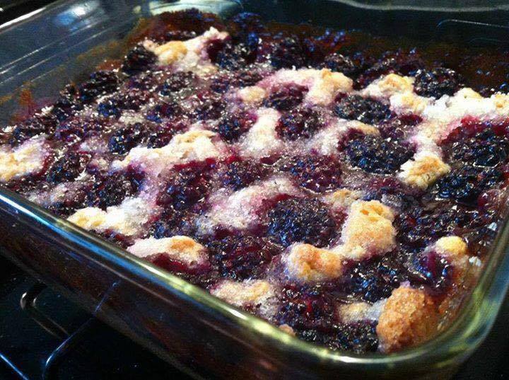 Cobbler with Kentucky Blackberries