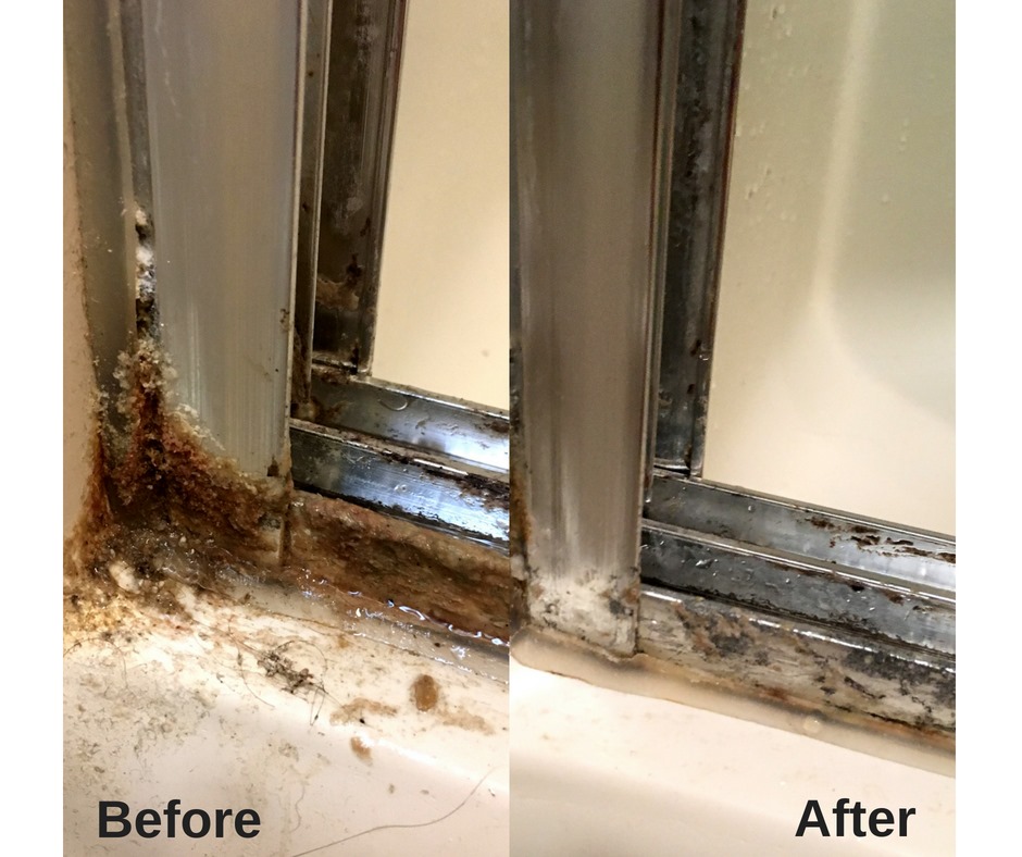 How to Clean Your Shower Doors Using Only Two Ingredients