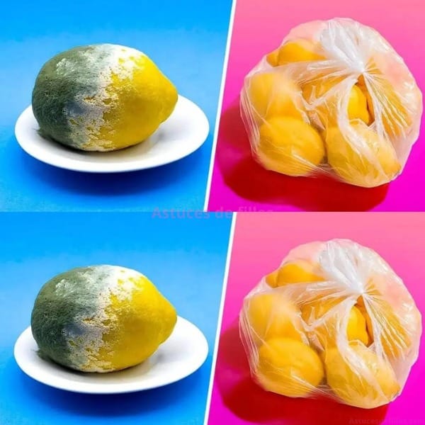 The ultimate method for preserving lemons for up to three months