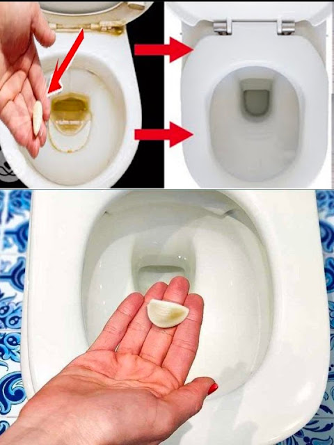 You Won’t Be Disappointed If You Leave a Garlic Clove in the Toilet Overnight