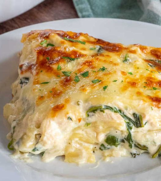 Lasagna with chicken Alfredo