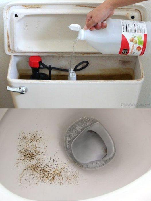 Why is pouring vinegar into your toilet tank the finest method to incorporate into your routine?