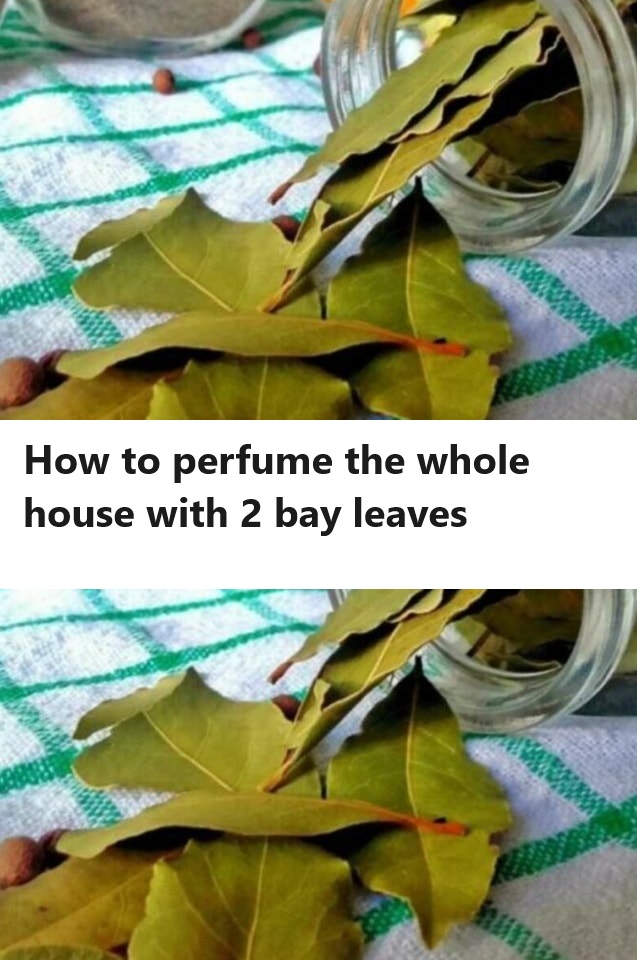 2 bay leaves to perfume the entire house