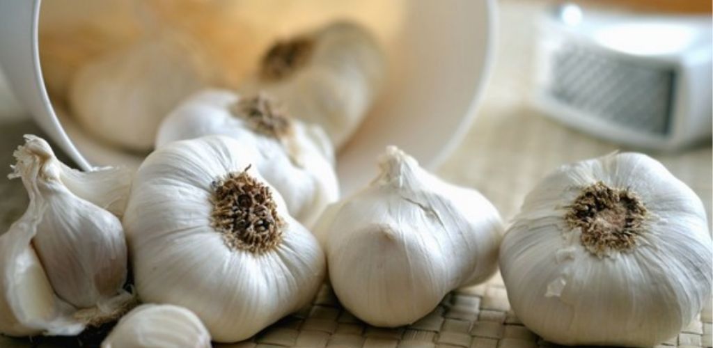 Garlic has the ability to kill 14 different infections! So, why don’t doctors advise it?