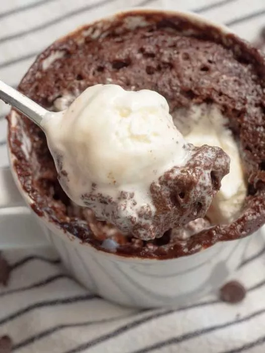 Chocolate Mug Cake in 5 Minutes