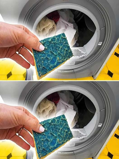 Throw a dish sponge in the washing machine: a simple solution to a common problem