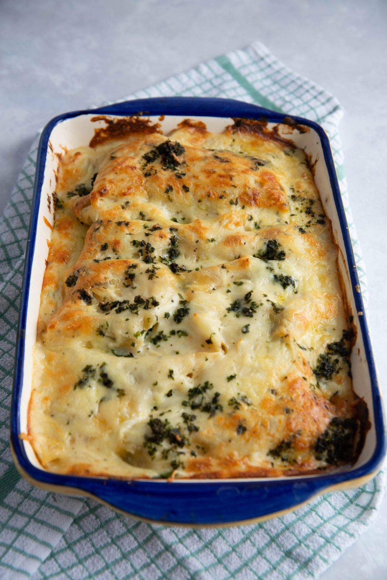 Deliciously Creamy Chicken Lasagna with White Cheese