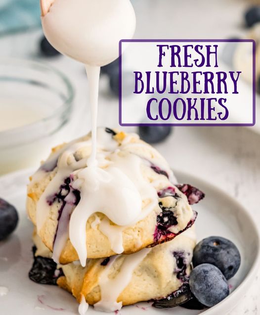 Blueberry Cookies. 