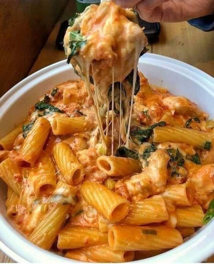 Pasta with Neapolitan Sauce, Mozzarella Cheese, and Basil