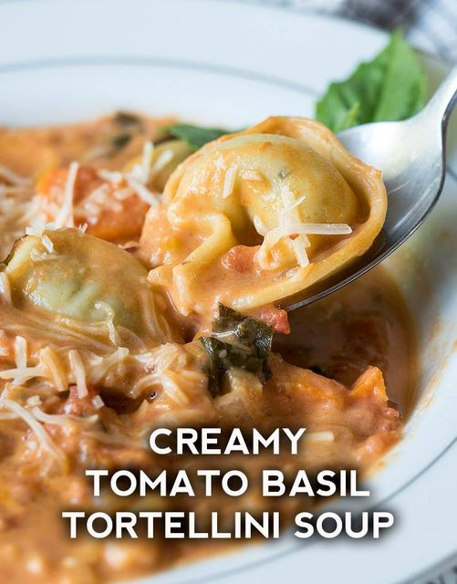 One-Pot Tomato Basil Tortellini Soup: A Comforting and Delicious Dinner