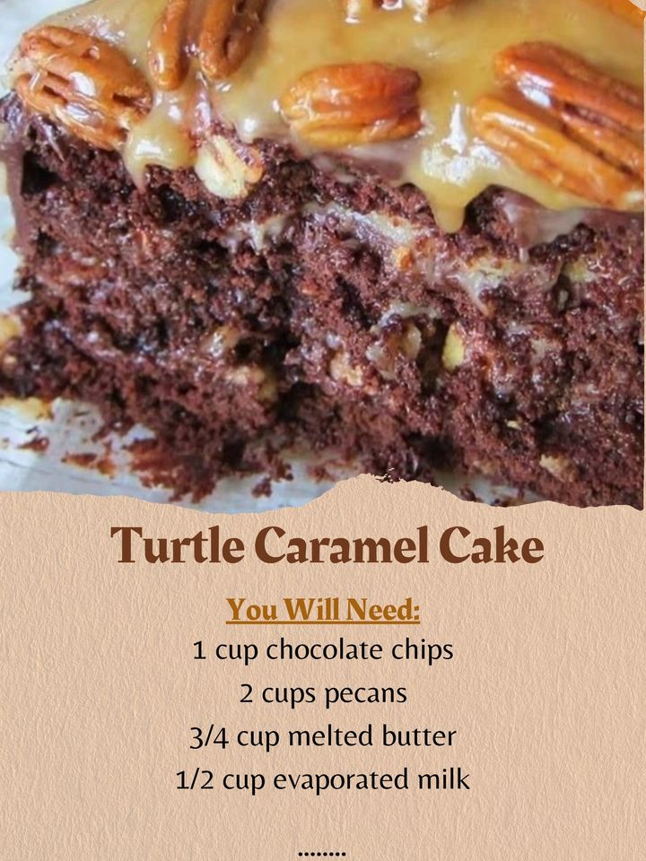 Delightful Turtle Caramel Cake: