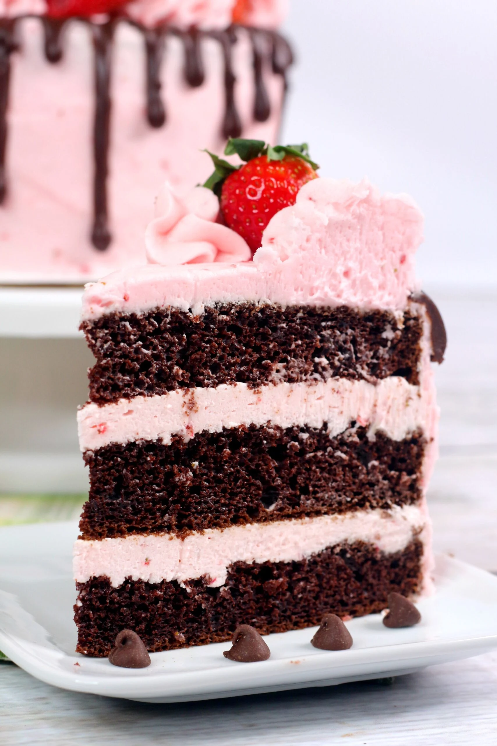 Chocolate Kahlua Cake with Strawberry Buttercream Frosting