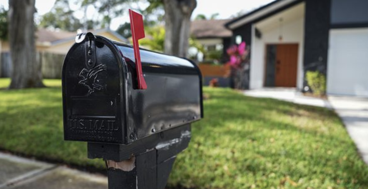 Keeping Wasps Away from Your Mailbox Made Easy