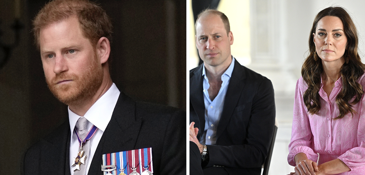 Prince William’s Response to Prince Harry: Expert Claims Kate’s Message Wasn’t Warm or Informal