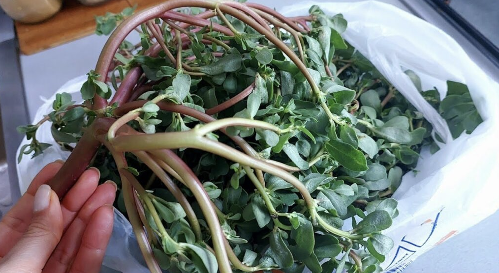 Cooking with Purslane: A Nutritional Powerhouse