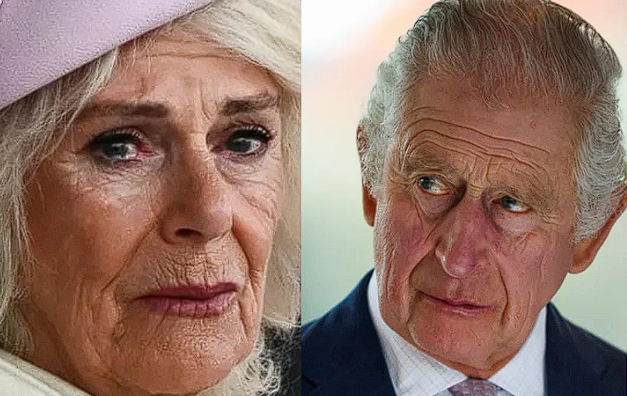 Lip reader discloses what ‘annoyed’ King Charles said as Queen Camilla visibly struggled during chaotic public appearance